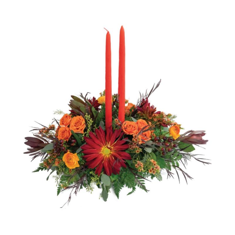 An image of Fall Splendor Standard