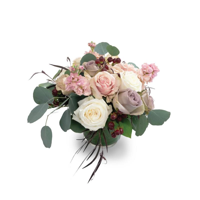 An image of Dusty Rose Sunset Standard