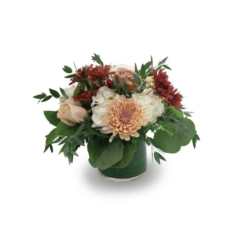 An image of Amber Amour Standard