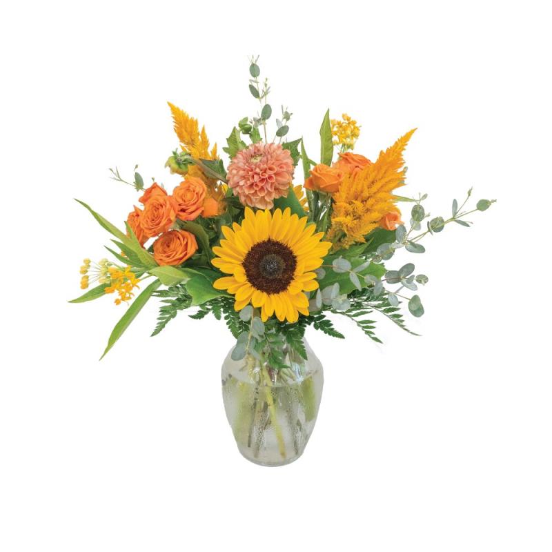 An image of Wish Standard