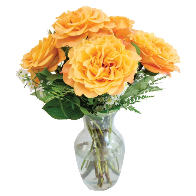 An image of Tangerine Dream - Opened blooms