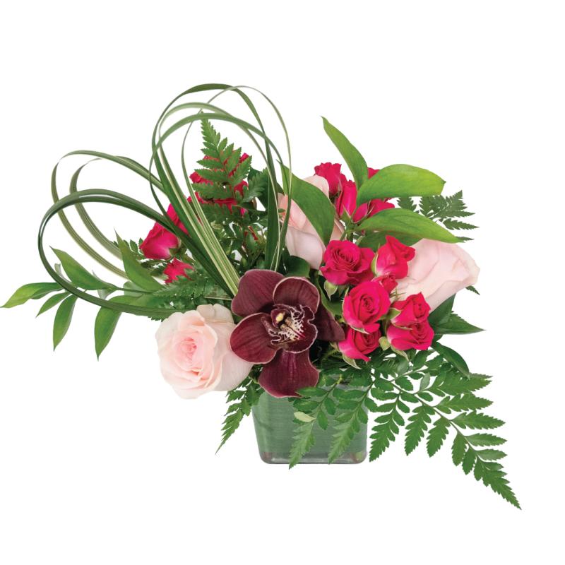 An image of Sweetheart Symphony Premium