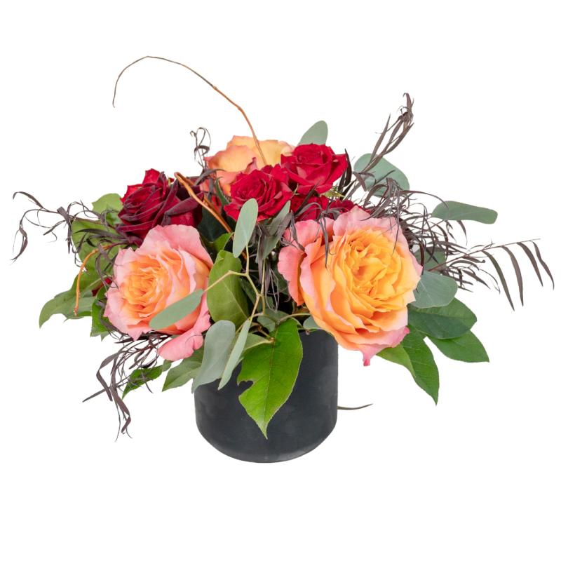 An image of Velvet Sunset Premium