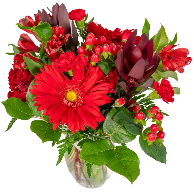 An image of Scarlet Warmth September 2026 - CancerFree KIDS Premium