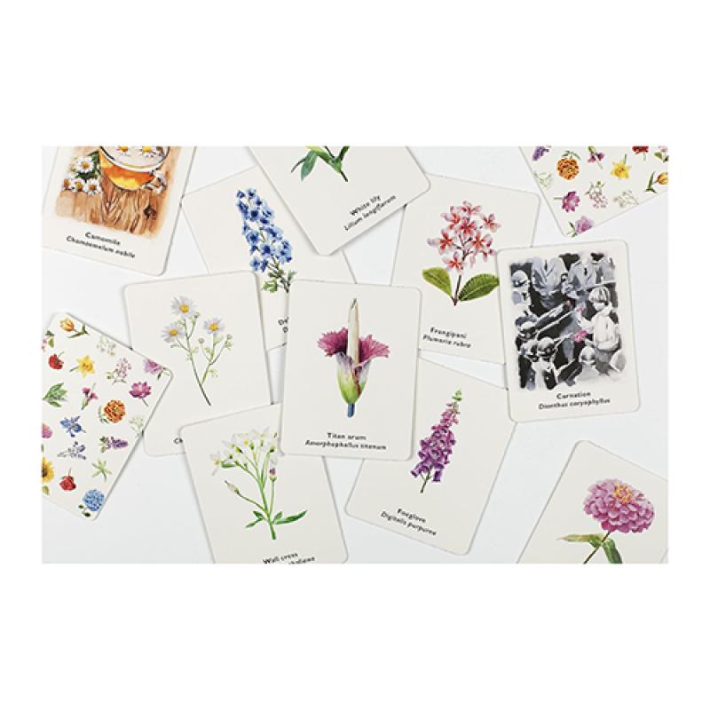 An image of Pick a Flower