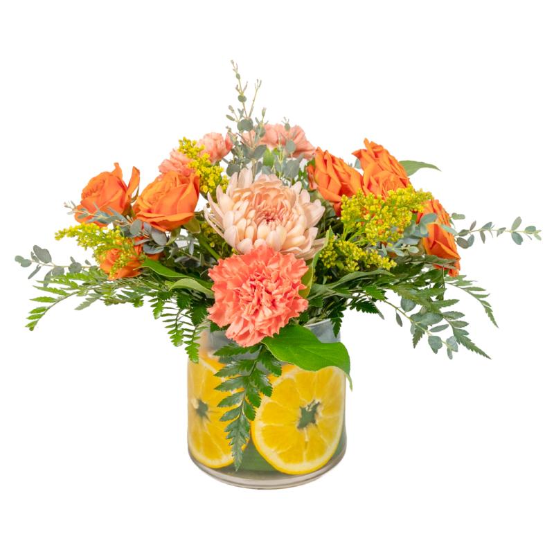 An image of Citrus Orange Standard