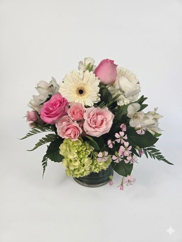 An image of Sweet Pea Standard