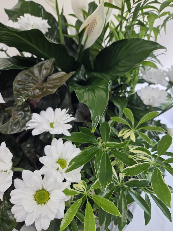 An image of Planter With Cuts Medium In Basket