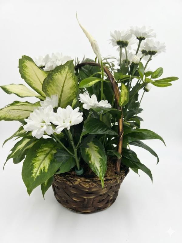 An image of Planter With Cuts Medium In Basket