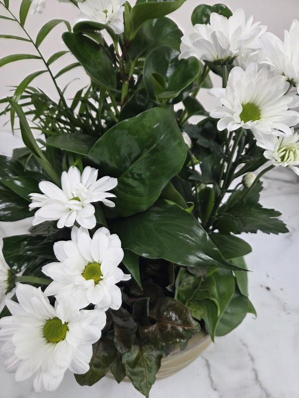 An image of Planter With Cuts Medium In Basket