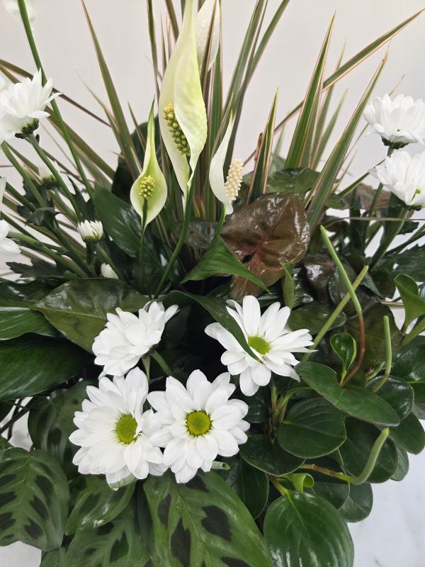 An image of Planter With Cuts Medium In Basket