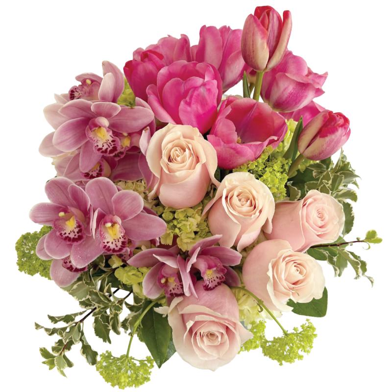 An image of Parisian Blush Deluxe