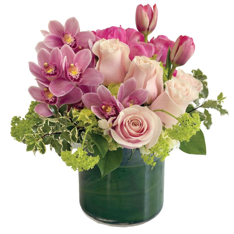 An image of Parisian Blush Premium