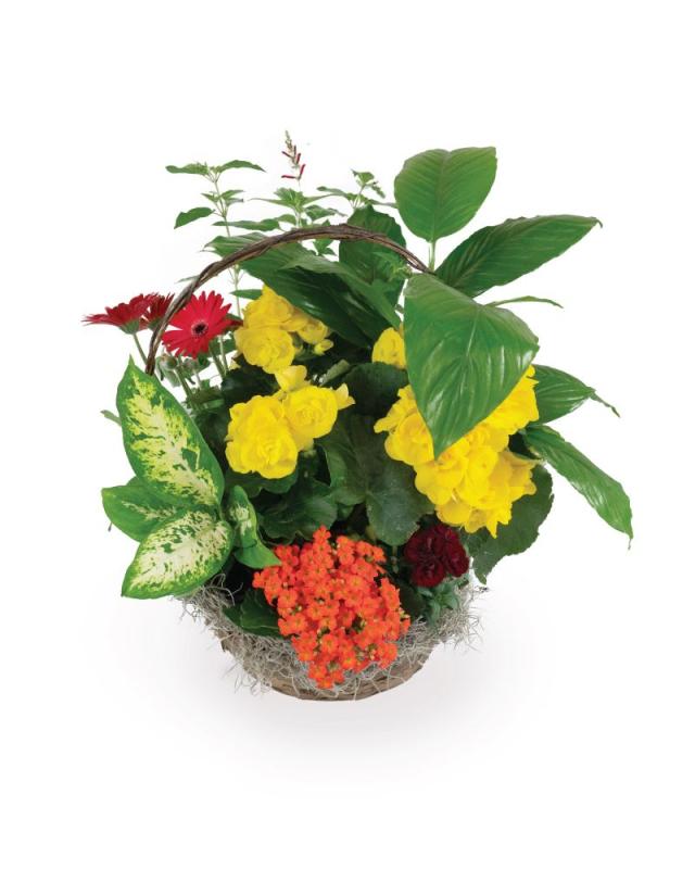 An image of Basket of Blooming by Benken - $100
