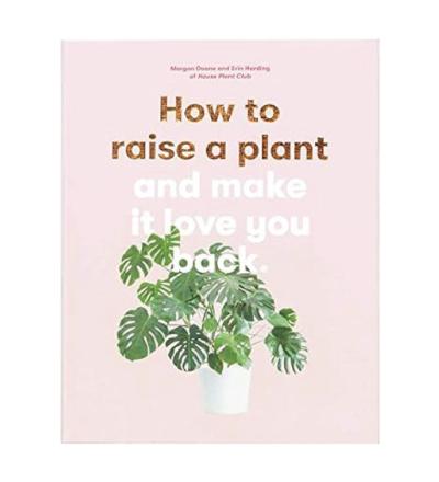 How to Raise a Plant By Morgan Doane & Erin Harding